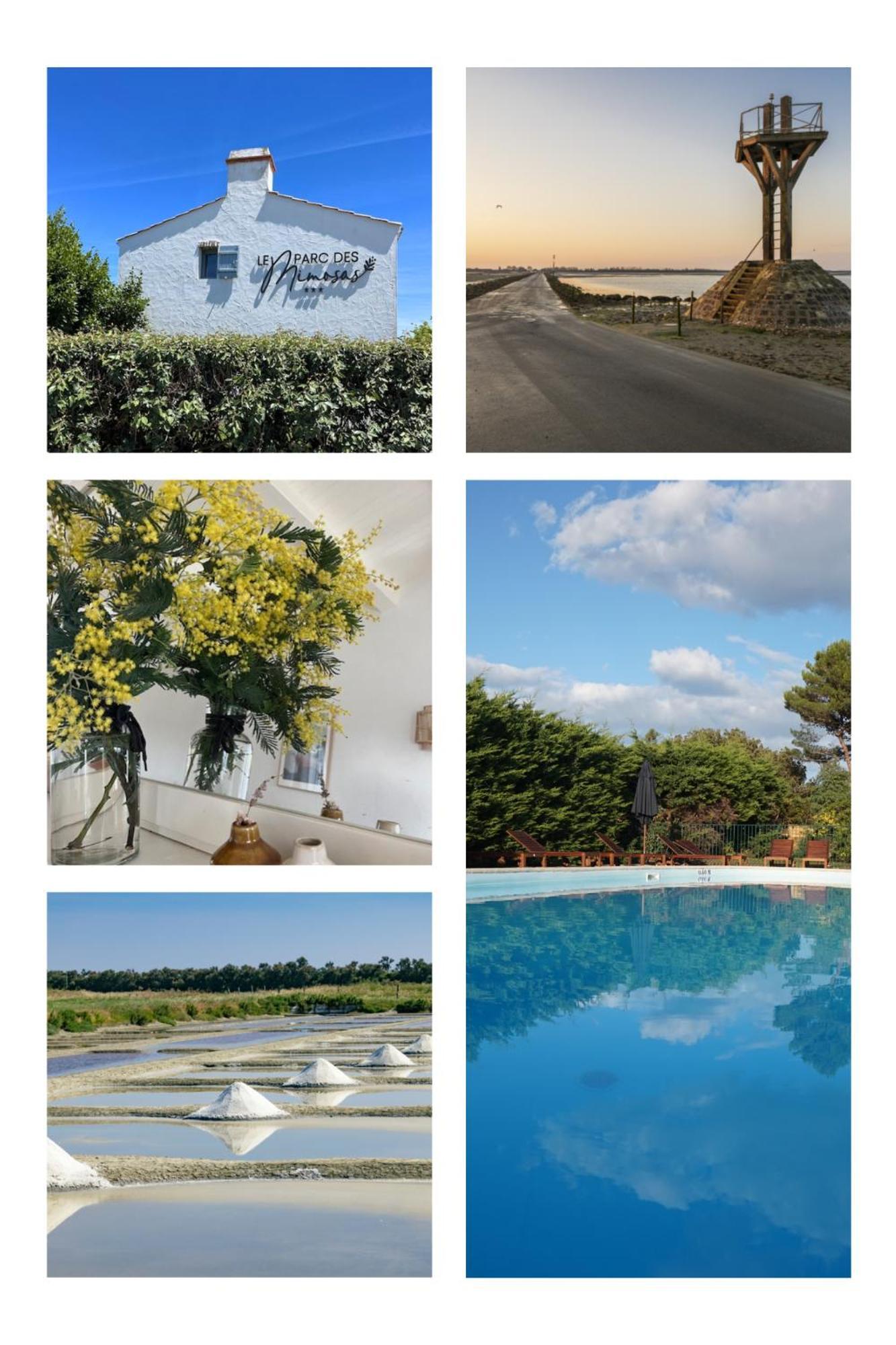 诺亚芒提亚Le Parc Des Mimosas别墅 外观 照片